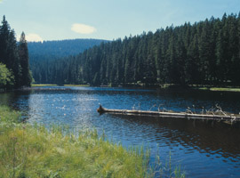 Šumava 066