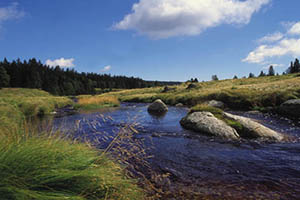 Šumava Modrava